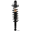 Roadmatic Strut Assembly