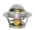 Engine Coolant Thermostat