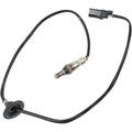 O2 Sensors