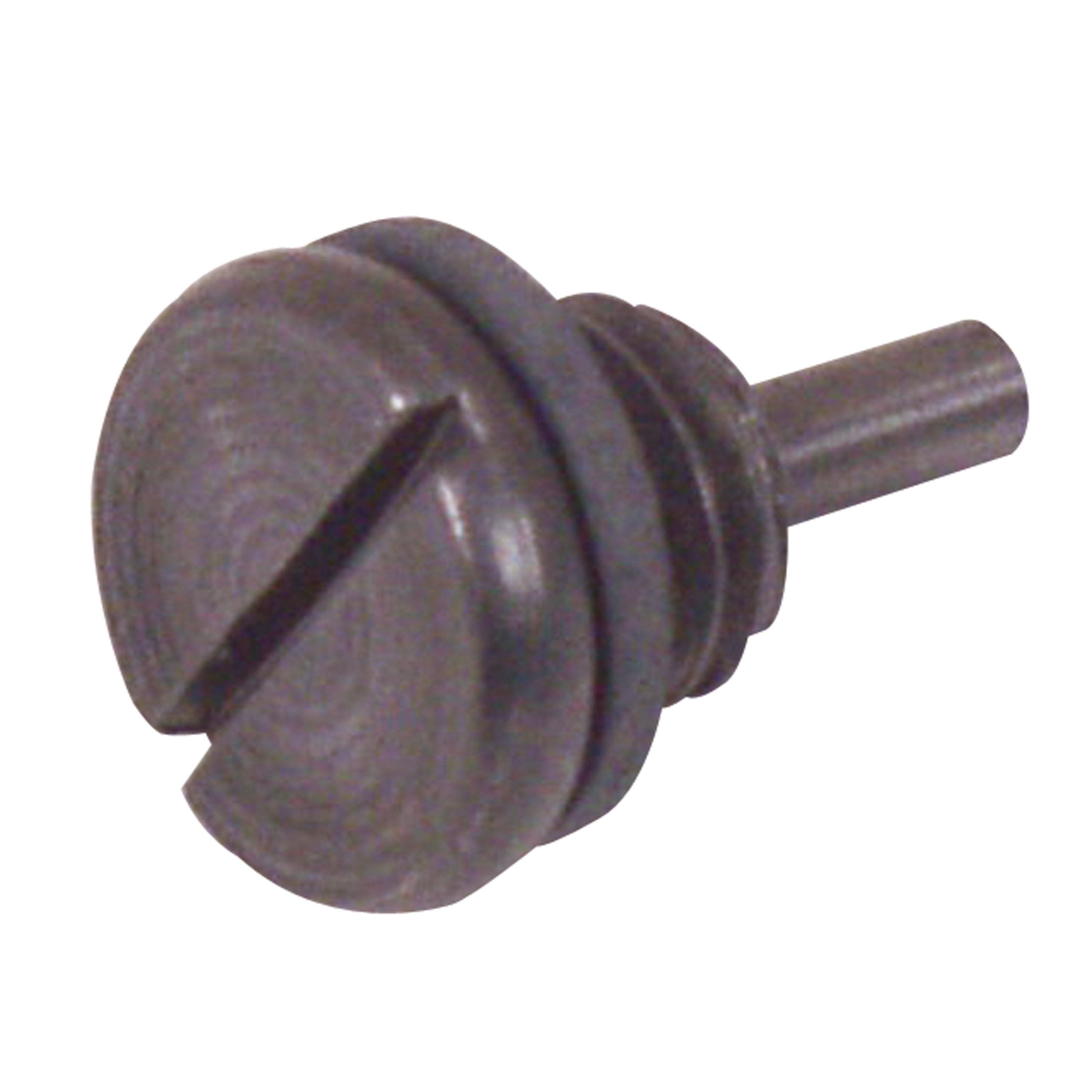 Magnetic Drain Screw