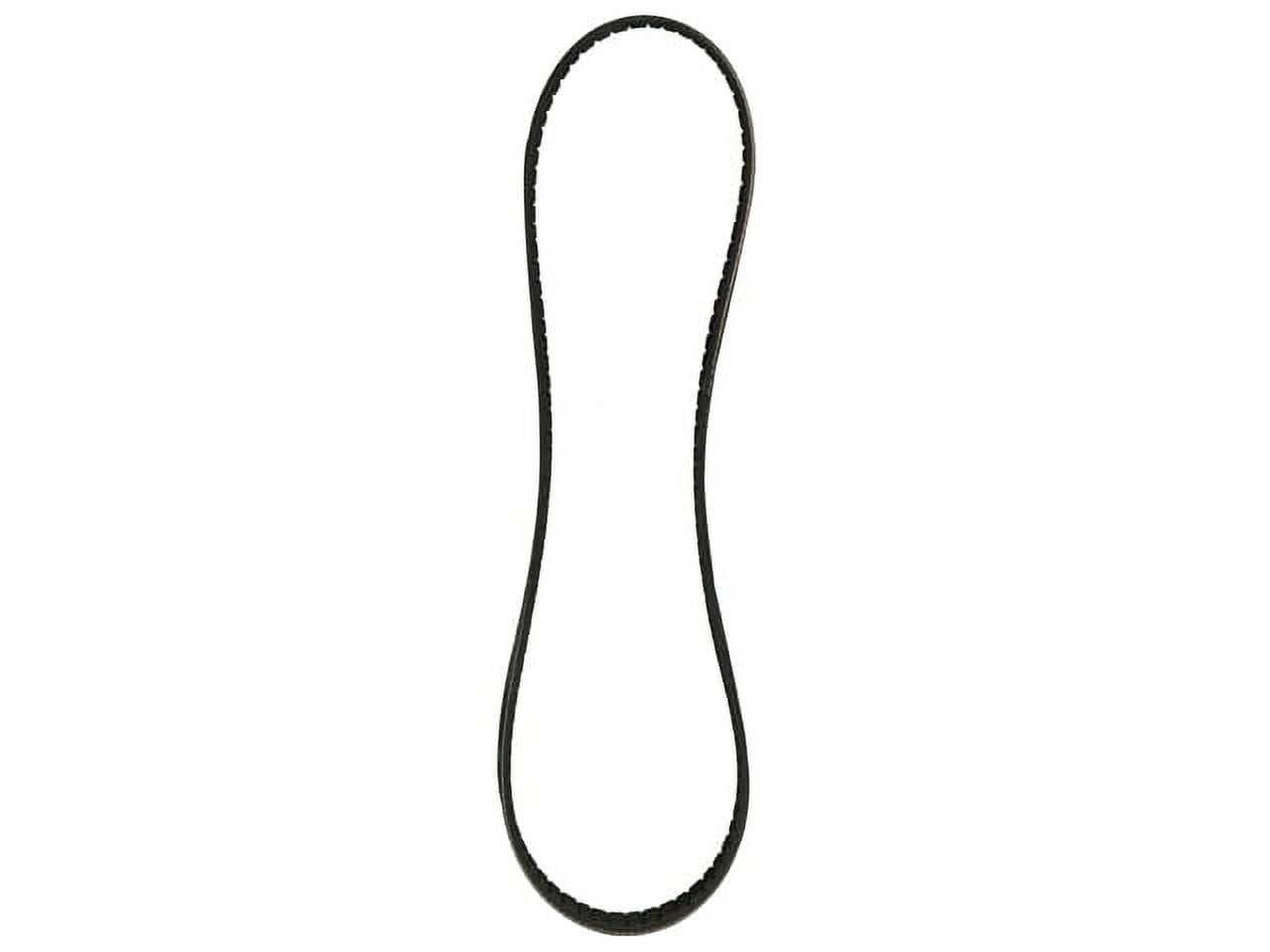 Serpentine Belt