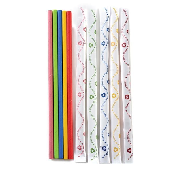 Paper Party Straws  Wrapped  Assort