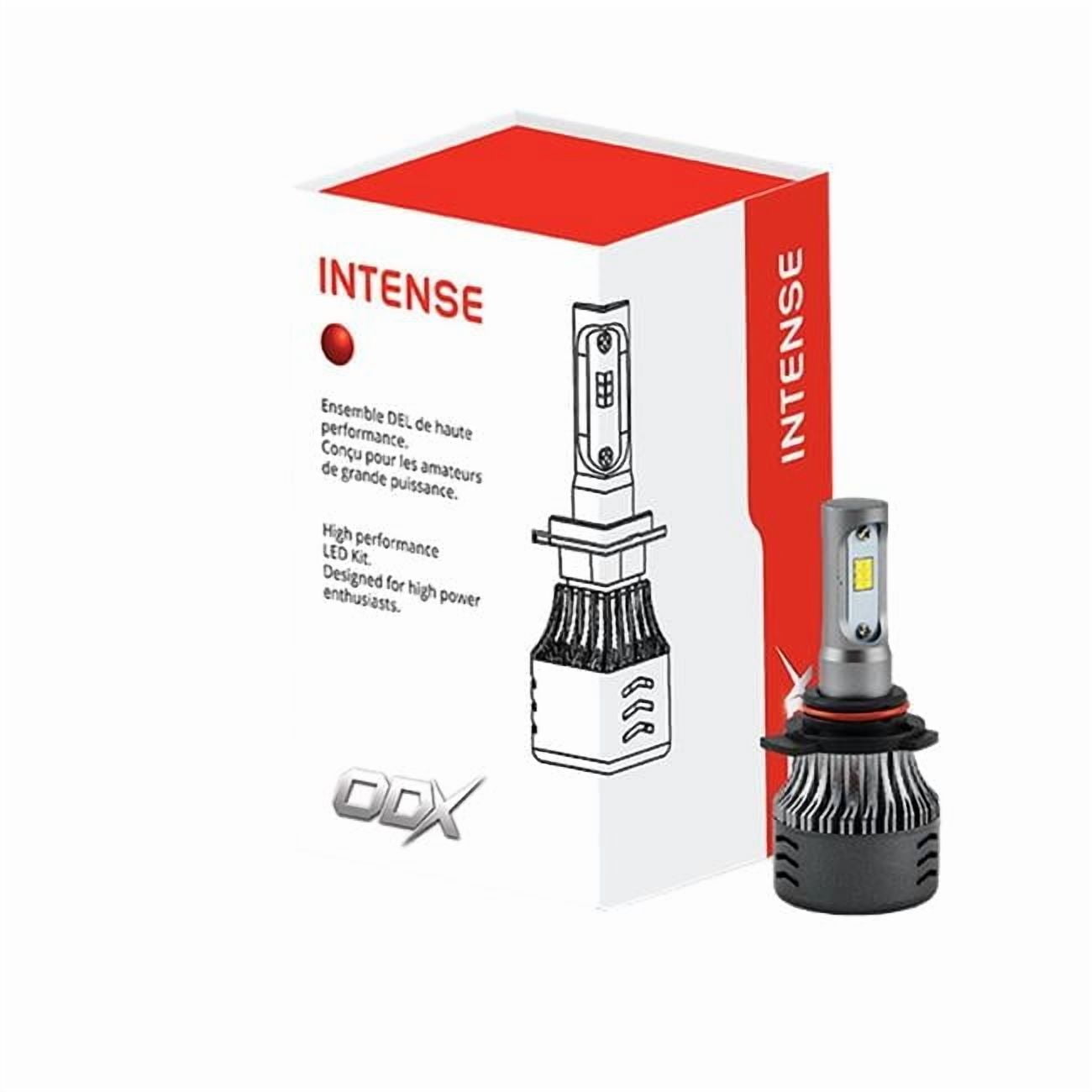 H11 Intense LED Bulb (Box of 2)