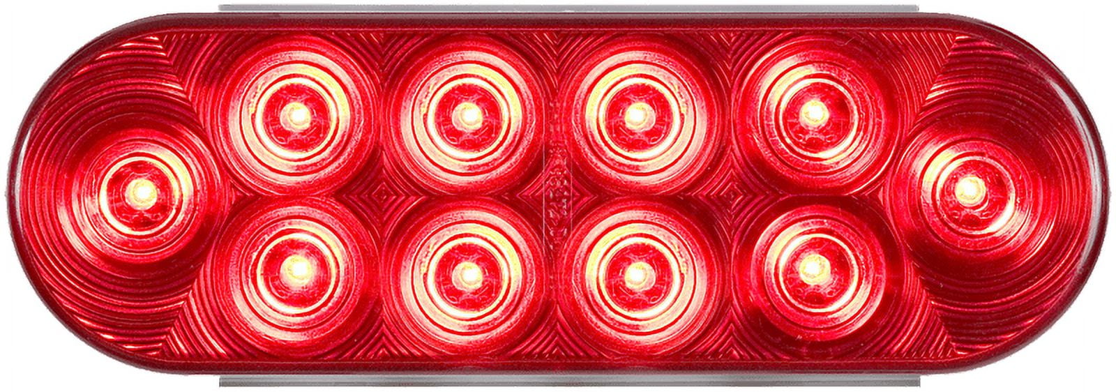 6' Oval 10 LED Tail;male Wther Plug