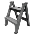 2 Step Folding Ladder