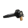 Coil Flame-Thrower Ford V6 Ecoboost