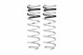 Pro-Lift-Kit Springs (Rear Springs