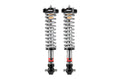 Pro-Truck Coilover (Front)