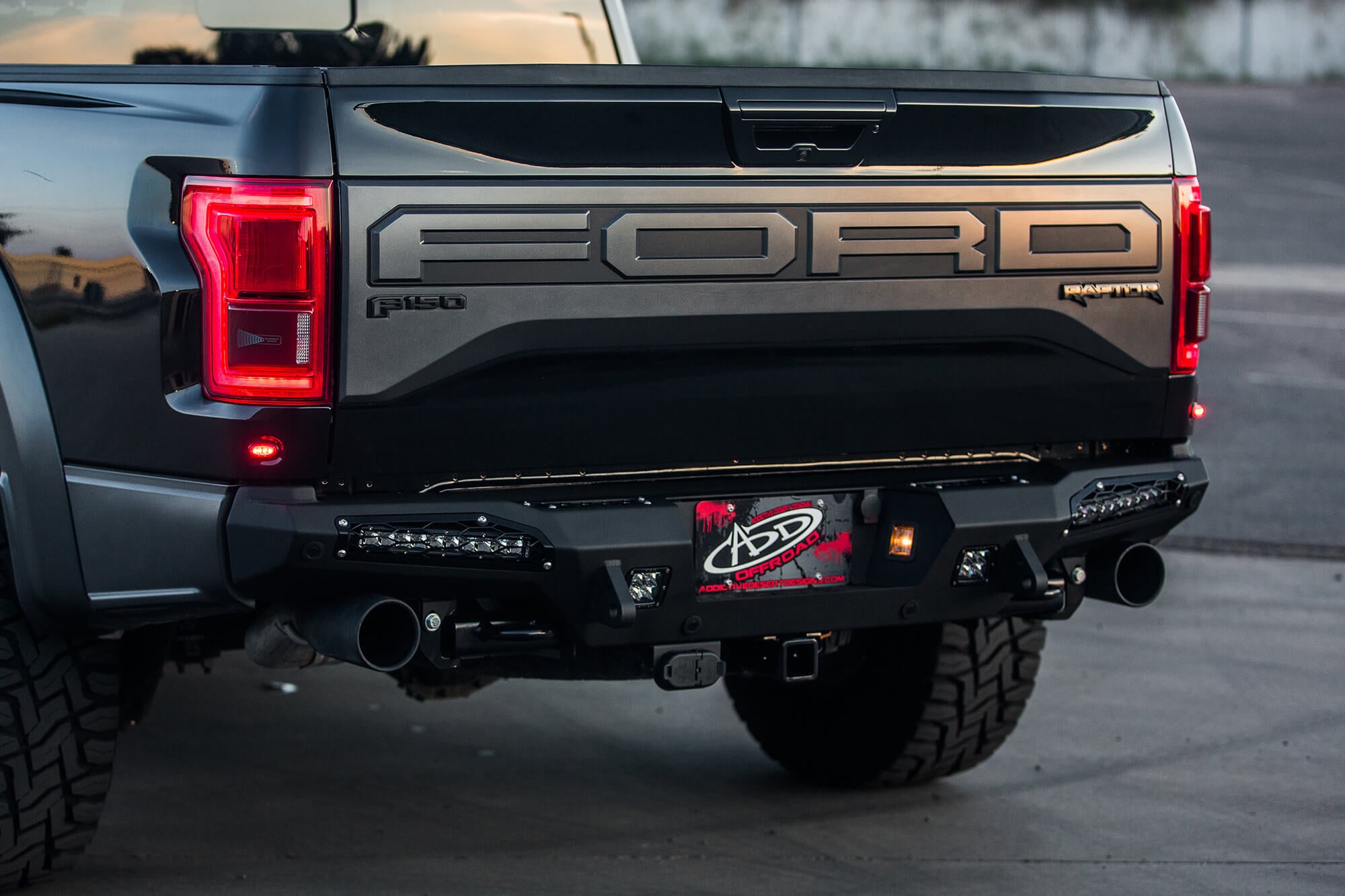 2017 - 2020 Ford Raptor HoneyBadger Rear Bumper