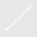LED 3RD Brake - Ford 15-17 F150 & 1