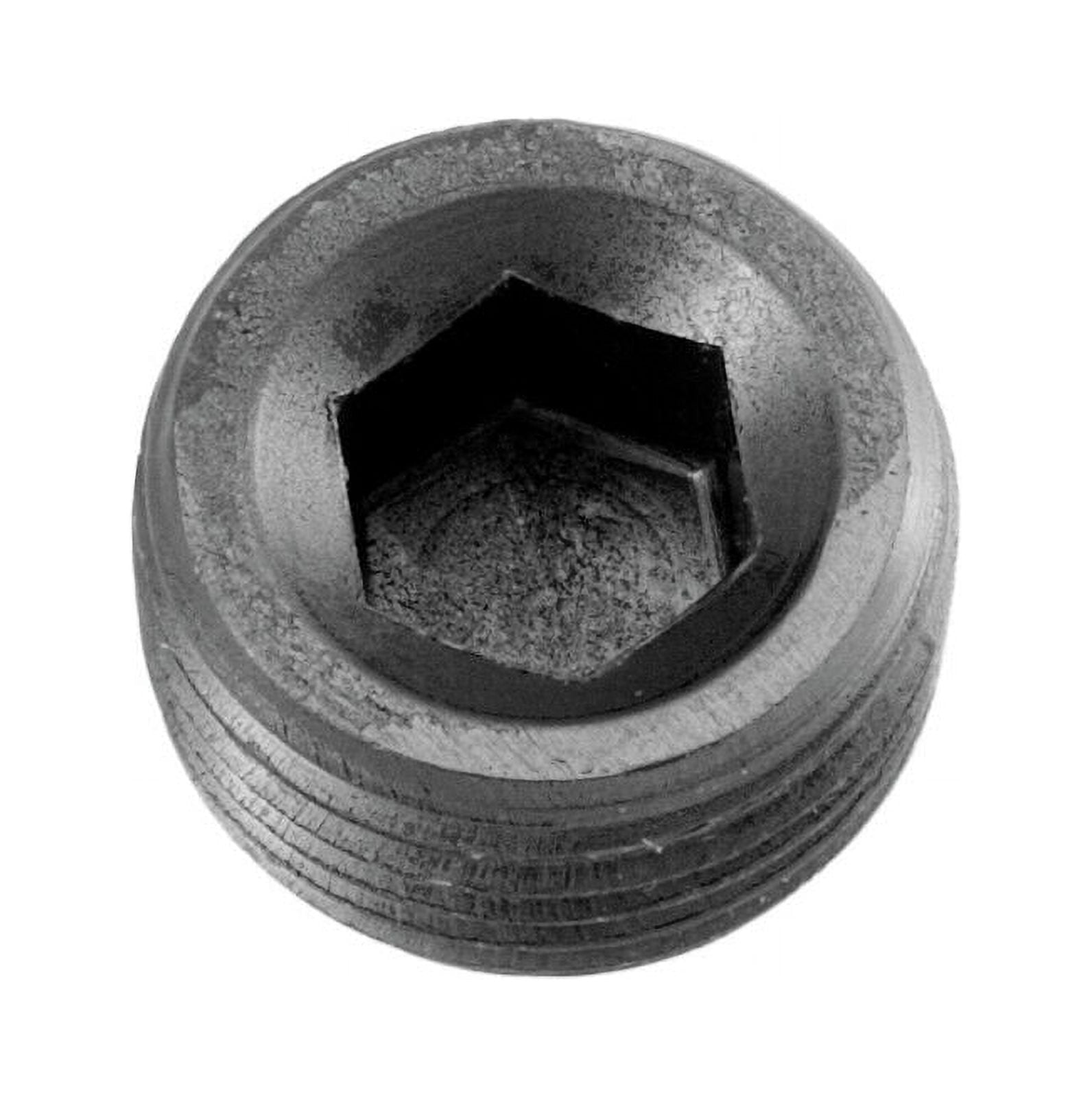 NPT Plug
