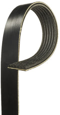V-Ribbed Belt