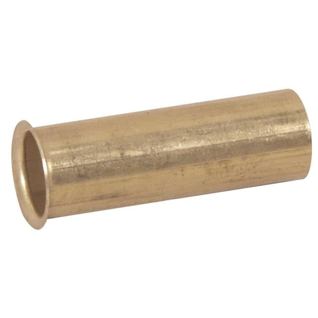 Dt Brass L3' X 1'OD