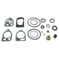 Lower Unit Seal Kit