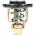 Thermostat Kit