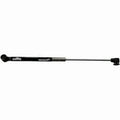 Gas Spring Stainless