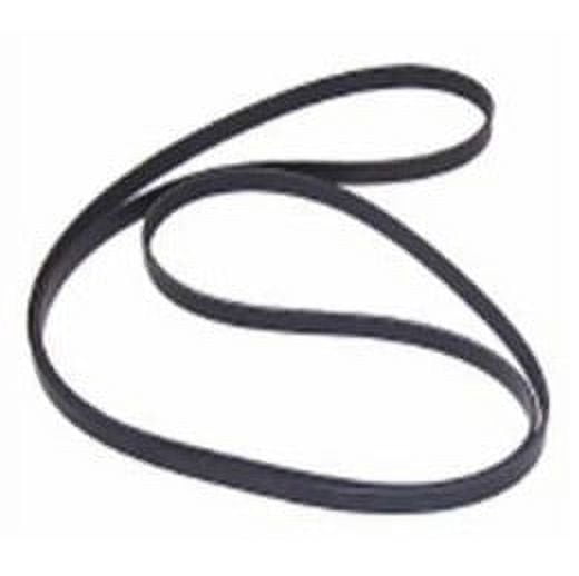 Serpentine Belt