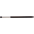 Liftgate Lift Support