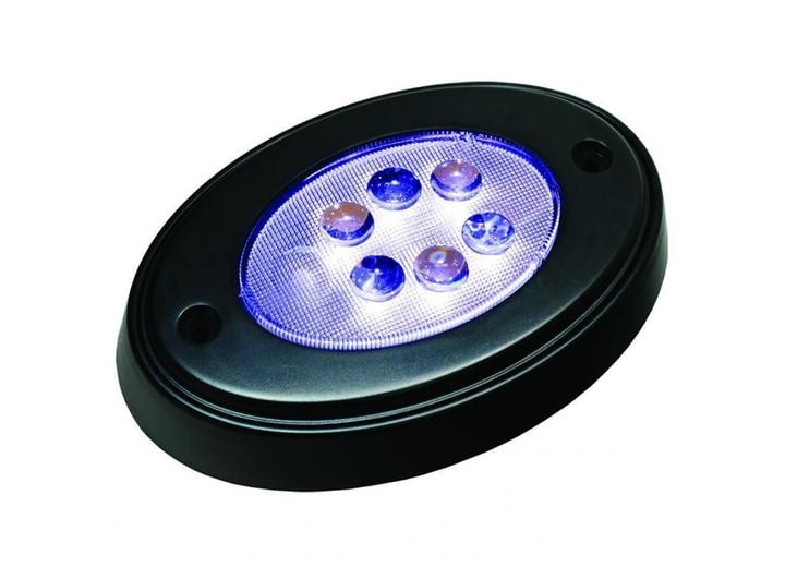 Black Oval Courtesy LED W/ Mnt Ring