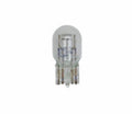 Standard Miniature Lamp