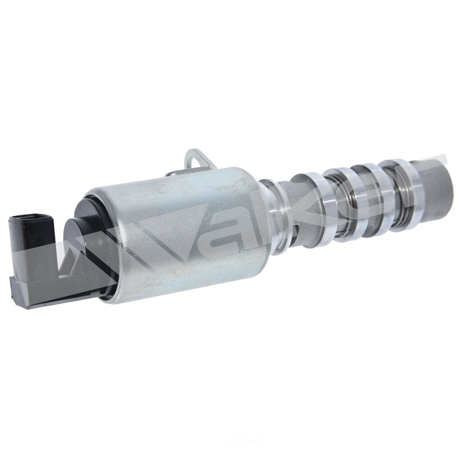 Engine Variable Valve Timing (Vvt)