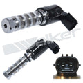 Engine Variable Valve Timing (Vvt)