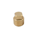 Pkgd. 1/2" Brass Plug Only